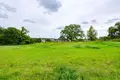 House 44 m² Mir, Belarus