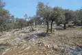 Parcelas  Skala Kallirachis, Grecia