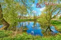 Cottage 163 m² Marjaliva, Belarus