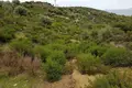 Land 1 room  Toroni, Greece