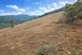 Land 4 483 m² Megali Panagia, Greece