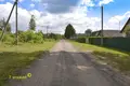 Haus 46 m² Akalova, Belarus