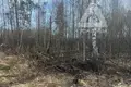 Земельные участки  Раменский муниципальный округ, Россия