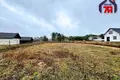 Grundstück  Svabski sielski Saviet, Belarus