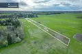 Land  Sirvintos, Lithuania