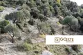 Земельные участки  Opcina Dezanovac, Хорватия