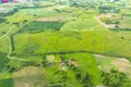 Land  Petrosiskes, Lithuania