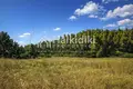 Земельные участки 18 000 м² Kassandra Municipality, Греция