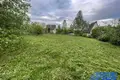 Casa  Bialarucki sielski Saviet, Belarús