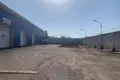 Nieruchomości komercyjne 1 pokój 600 m² w Nizino, Rosja