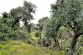 Land 1 room  Agios Stefanos, Greece