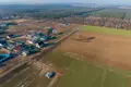 Atterrir 1 355 m² Kazmierz, Pologne