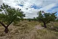 8 bedroom House 230 m² el Pinos Pinoso, Spain