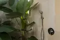 3 bedroom villa 227 m² Ubud, Indonesia