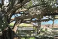 Villa de 6 chambres 320 m² Grad Trogir, Croatie