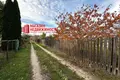 Land  Kapciouski sielski Saviet, Belarus
