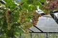 Дом 66 м² Колодищанский сельский Совет, Беларусь
