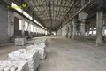 Manufacture 12 000 m² in Novalukoml, Belarus