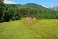 Propiedad comercial  en Montenegro, Montenegro