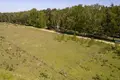 Land 1 405 m² Nieczajna, Poland