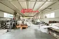 Manufacture 1 351 m² in Kapciouski sielski Saviet, Belarus
