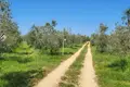 Шале 35 000 м² Город Ровинь, Хорватия