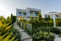 Дом 5 спален 420 м² Пейя, Кипр