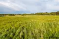 Land  Adazi, Latvia