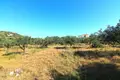 Grundstück 1 zimmer 5 500 m² Provinz Agios Nikolaos, Griechenland
