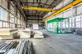 Tienda 2 030 m² en Rogozno, Polonia