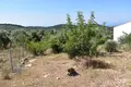 Land  Thassos Municipality, Greece
