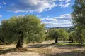 Atterrir 10 941 m² Kassandrino, Grèce