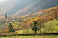 Земельные участки 1 комната  Elatochori, Греция