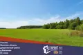 Działki  Barauski sielski Saviet, Białoruś
