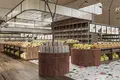 Gewerbefläche 3 433 m² Esplugues de Llobregat, Spanien