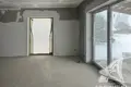 Dom 311 m² Rokitnica, Białoruś