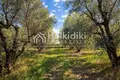 Parcelas 4 054 m² Agios Mamas, Grecia