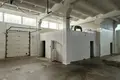 Gewerbefläche 5 zimmer 2 000 m² in Olai, Lettland