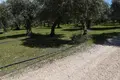 Земельные участки  Скала Сотирос, Греция