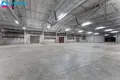 Commercial property 10 407 m² in Pagegiai, Lithuania