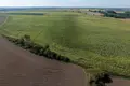 Parcelas 448 500 m² Lubowice, Polonia