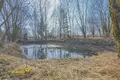 House 43 m² Zdanovicki sielski Saviet, Belarus