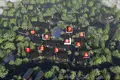 Квартира 3 комнаты 80 м² Варна, Болгария