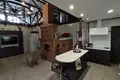 Cottage 309 m² Hacukouski sielski Saviet, Belarus