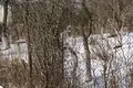 Działki 79 900 m² Afonino, Rosja