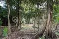 Parcelas  Tumbak Bayuh, Indonesia