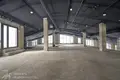 Büro 10 zimmer 100 m² in Zdanovicki sielski Saviet, Belarus