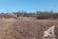 Land  Kliejnikauski sielski Saviet, Belarus
