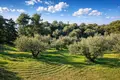 Atterrir 4 010 m² Neos Marmaras, Grèce