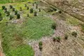 Grundstück 1 250 m² Opcina Liznjan, Kroatien